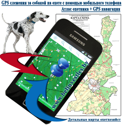 Система GPS слежения за собакой на охоте с использованием GPS трекера, мобильного телефона с помощью мобильной версии ГИС Formap