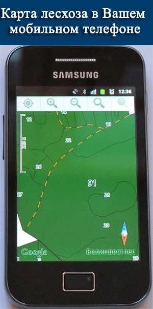 Мобильный ГИС для предприятий лесного хозяйства